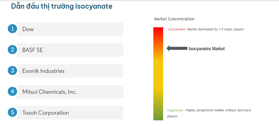 thị trường Isocyanate